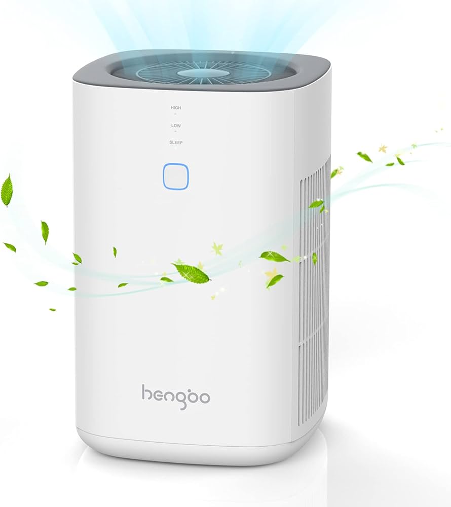 Air Purifier